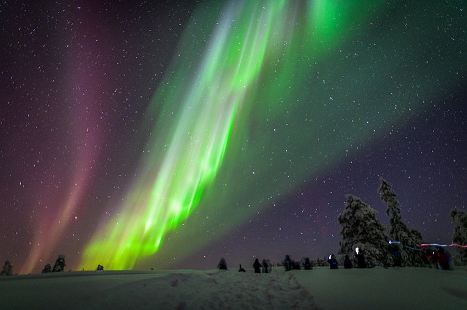 Northern Lights Snowmobile Sleigh Ride - Key points at a glance
