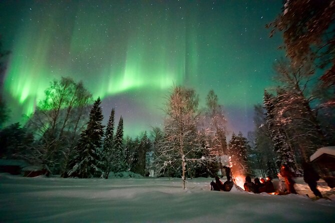 Northern Lights Tour in Atmospheric Cottage - Key points to know before booking