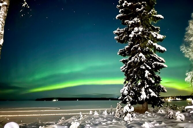 Northern Lights Tour Snowmobile Driving - Key points to know before booking