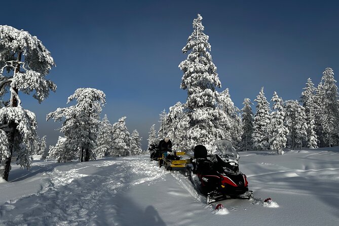 Northern Lights Tour Snowmobile Driving - What the snowmobile ride is really like