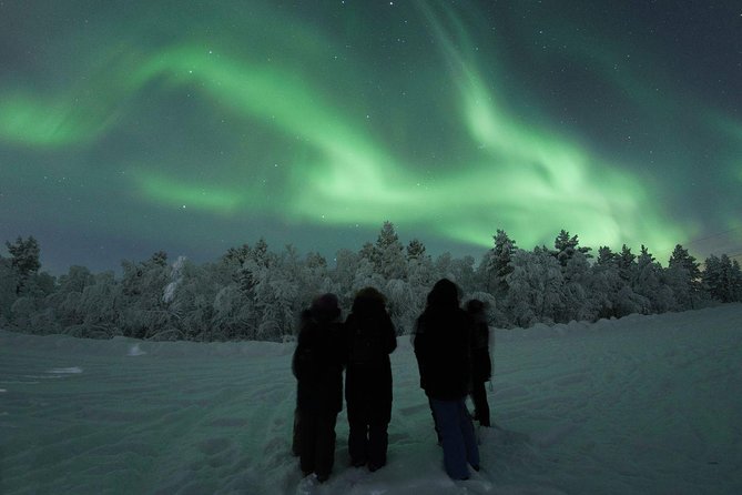 Northern Lights Tour with BBQ and drinks - Photography tips for the dark Arctic night
