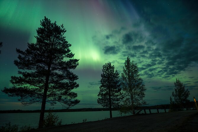 Northern Lights Tour with BBQ and drinks - Who will enjoy this Rovaniemi activity?