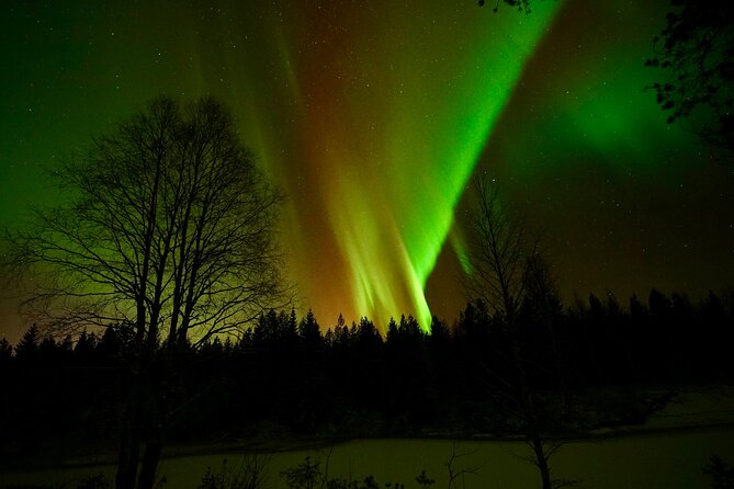 Northern Lights Trip to a Magical Place in Lapland - Professional photos can be worth the extra help