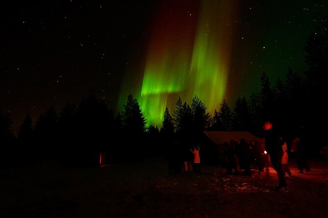 Northern Lights Trip to a Magical Place in Lapland - Is $119.09 a fair price?