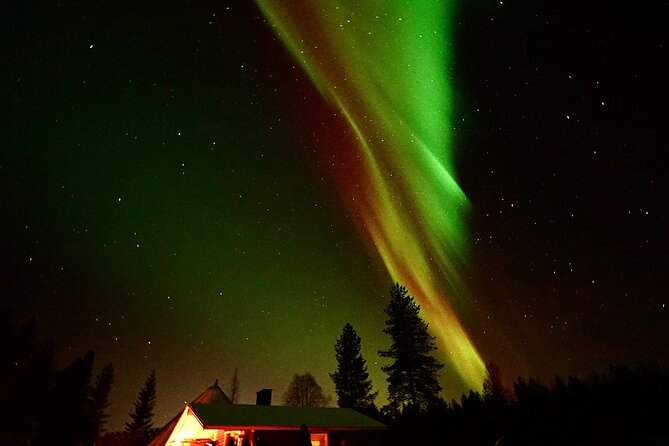 Northern Lights Trip to a Magical Place in Lapland - What the transfer is really like