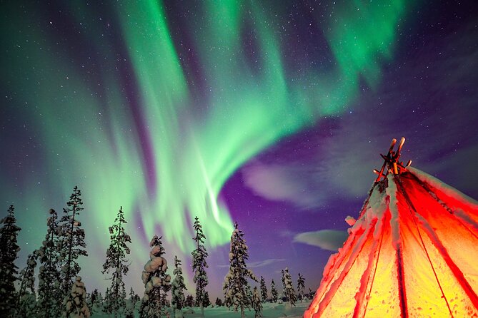 Northern Lights Wilderness Small-Group Tour from Rovaniemi - What makes this tour worth considering