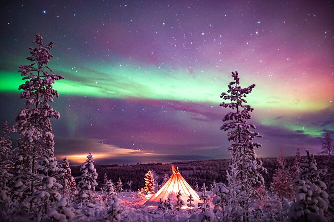Northern Lights Wilderness Small-Group Tour from Rovaniemi - Price and value at $155.68
