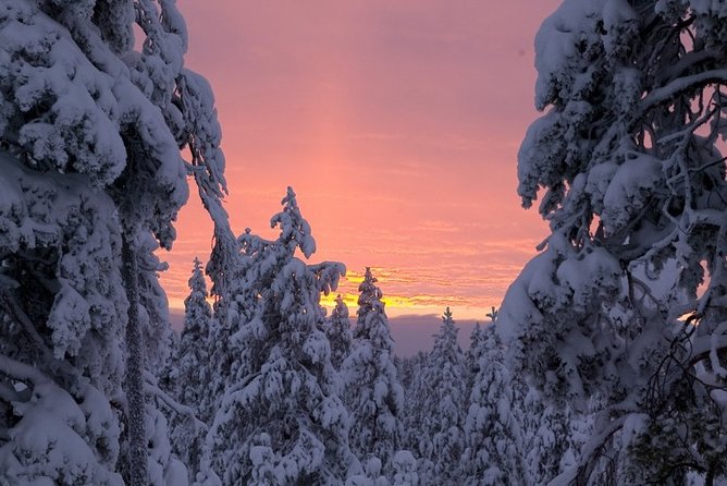 Ounasvaara and Ranua Zoo - Who will enjoy this Rovaniemi day trip most