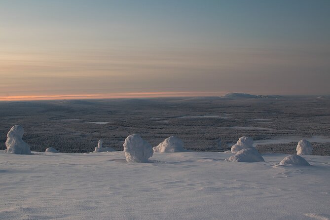 Premium Snowshoeing in Pyhä-Luosto National Park - Descending into Pyhä-Luosto National Park