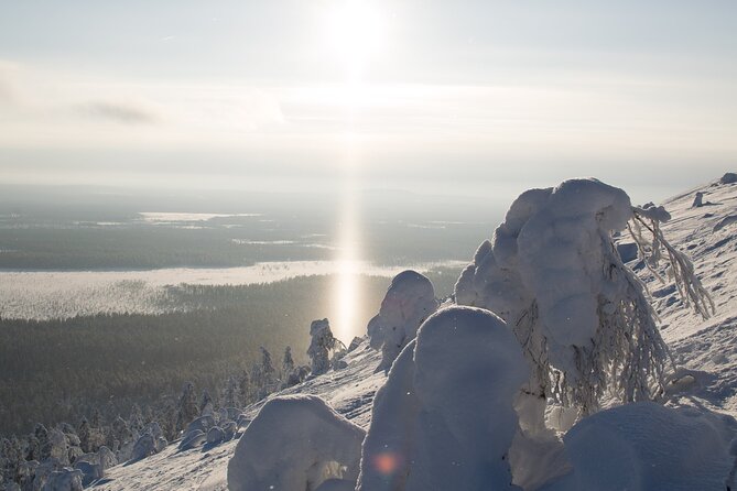 Premium Snowshoeing in Pyhä-Luosto National Park - Bonfire food and hot berry drinks
