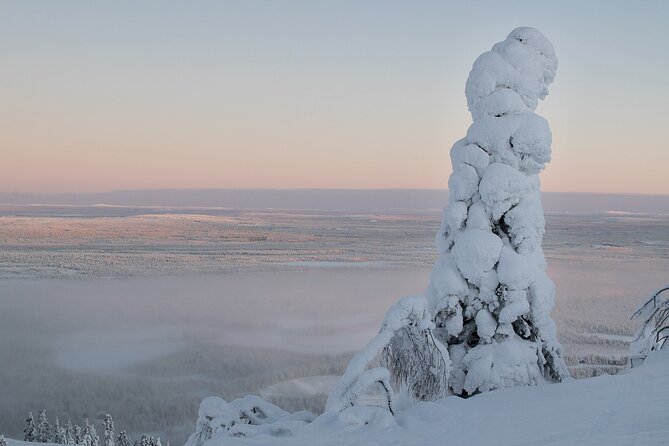 Premium Snowshoeing in Pyhä-Luosto National Park - The guide makes the difference