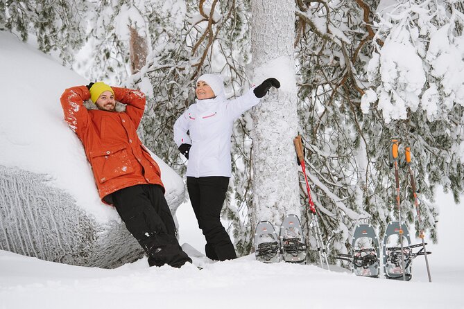 Premium Snowshoeing in Pyhä-Luosto National Park - Is $215.39 a fair price?