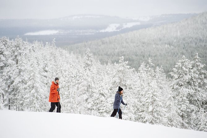 Premium Wilderness Skiing in Pyhä-Luosto National Park - Starting at Camp Kitchen & Bar Pyhätunturi