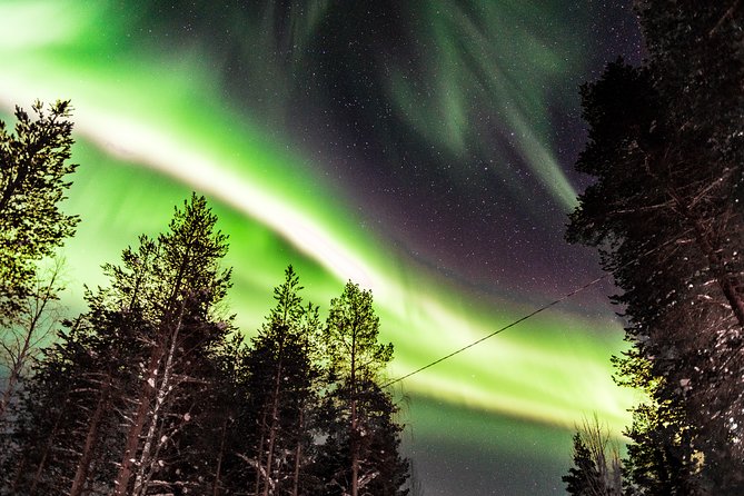 Private Aurora Tour (5 or more) by Aurora Experts - Rovaniemi - Watching the aurora when the sky is uncertain