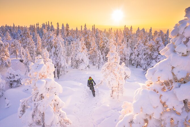 Private Electric Fat Bike Winter Tour in Rovaniemi - From Hostel Café Koti to the Roll Outdoors garage