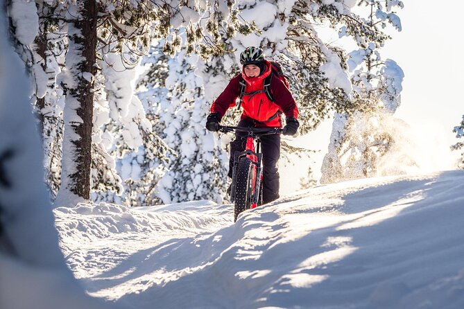 Private Electric Fat Bike Winter Tour in Rovaniemi - Ounasvaara’s forest trails and quiet snow