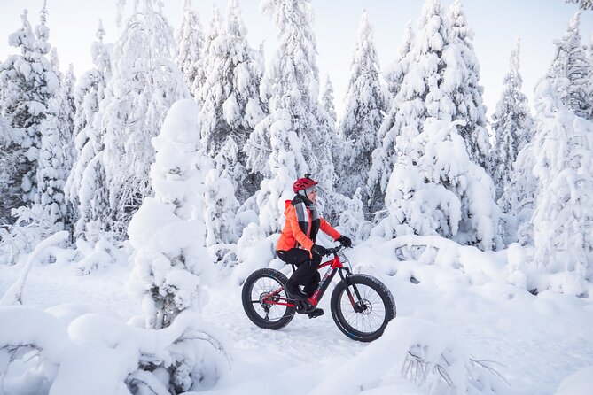 Private Electric Fat Bike Winter Tour in Rovaniemi - Five minutes beside the Kemijoki