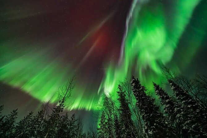 Private Northern Lights Hunting Tour Rovaniemi - Weather, cancellations, and realistic expectations