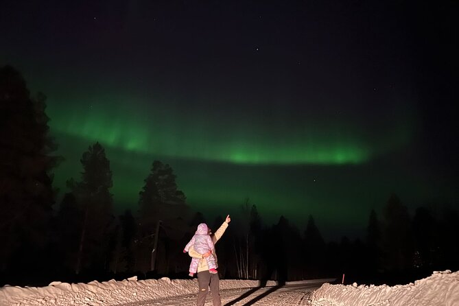 Private Northern Lights Hunting Tour Rovaniemi - Who should book this private Aurora hunt