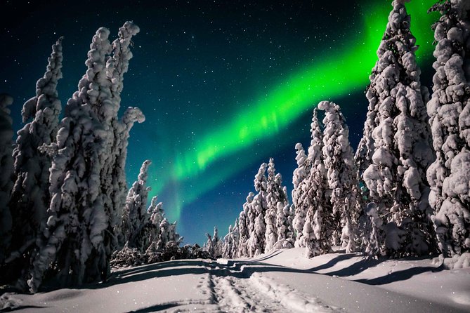 Private Northern Lights photography tour in Rovaniemi - Guides who keep looking