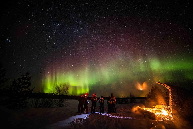 Private Northern Lights photography tour in Rovaniemi - Who should book this Aurora hunt?