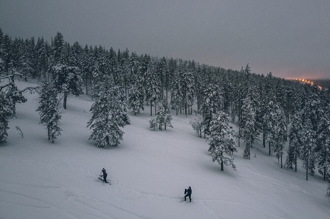 Private Northern Lights Tour With Skis Or Snowshoes in Pyhä - Stop 3: Taste Of Outdoors at the fire