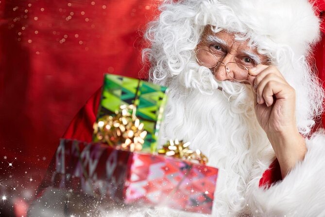 Private Santa Claus Village & Rovaniemi city tour - Key points to know before booking