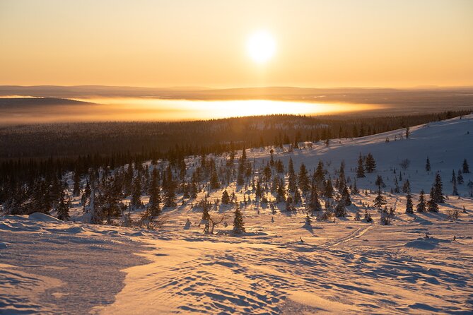 Private Snowshoe or Ski Adventure in Lapland from Rovaniemi - The cost makes sense for a full group