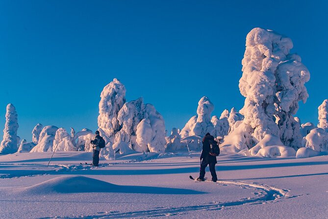 Private Snowshoe or Ski Adventure in Lapland from Rovaniemi - Snowshoes, skis, and the feel of the route