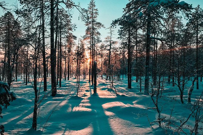 Private Snowshoeing Tour In Pyhätunturi With A Local Guide - Following animal tracks in the snow