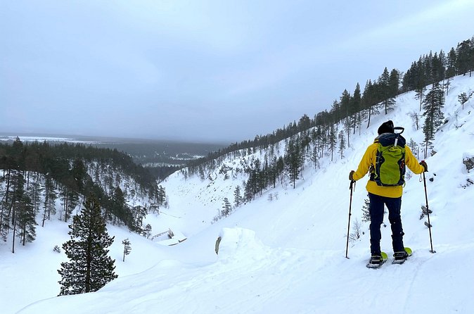 Private Snowshoeing Tour In Pyhätunturi With A Local Guide - What the private format changes