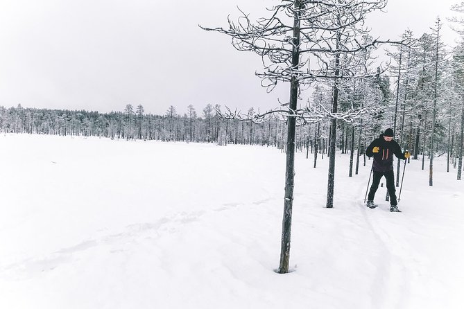 Private Snowshoeing Tour In Pyhätunturi With A Local Guide - Who will enjoy this three-hour outing