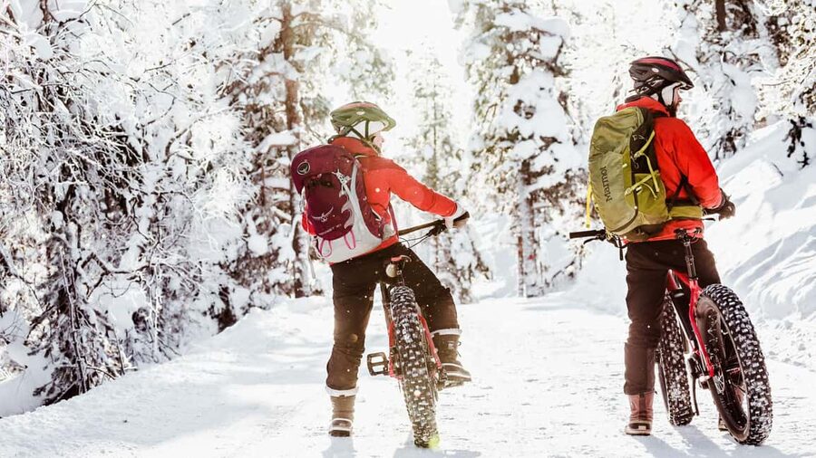 Pyhätunturi: Electric Fatbike Tour in Finnish Lapland - The 105-minute ride through Arctic taiga