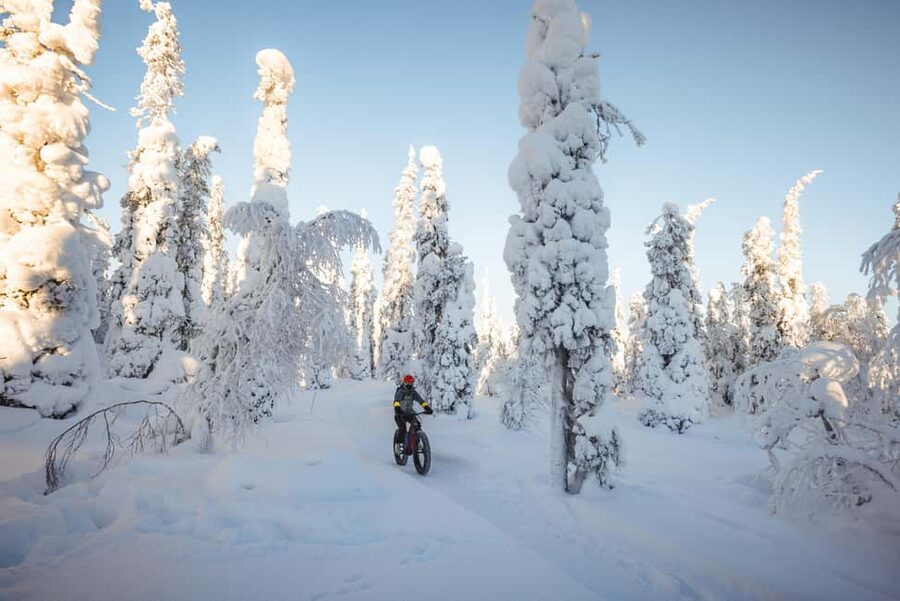 Pyhätunturi: Electric Fatbike Tour in Finnish Lapland - What the forest ride feels like