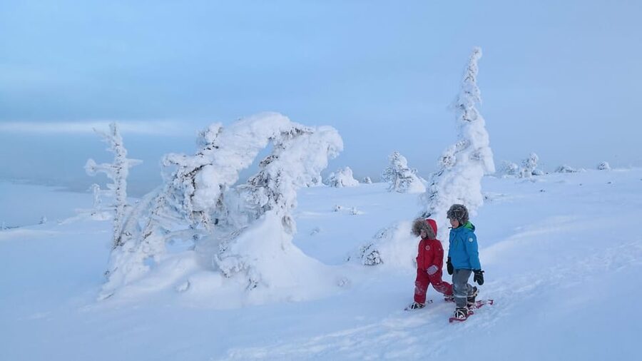 Pyhätunturi: Scenic Snowshoeing Tour in Finnish Lapland - What $133 buys you in Pyhä