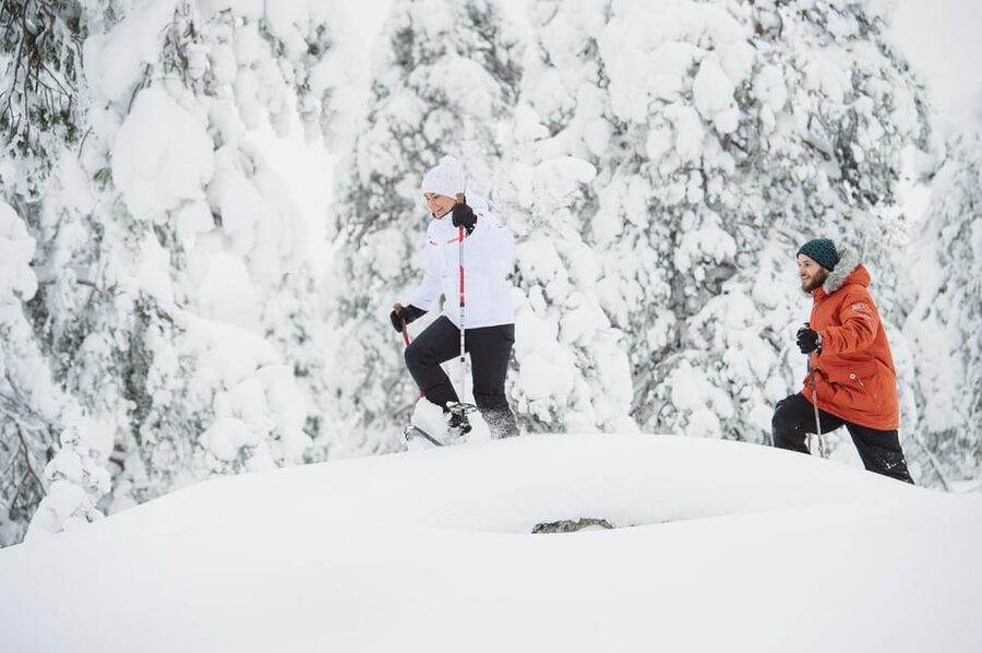 Pyhätunturi: Scenic Snowshoeing Tour in Finnish Lapland - Booking, weather, and cancellation advice