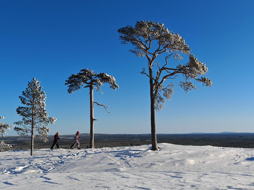 Pyhätunturi: Try Wilderness Skiing in Finnish Lapland - Entering Pyhä-Luosto National Park