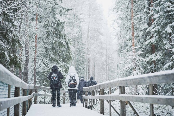 Ranua Wildlife Park Day: Visit the Arctic Animals - The One-Hour Ride South Through Lapland