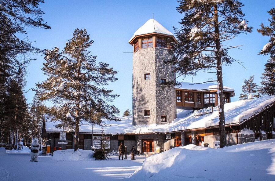 Ranua Wildlife Park Guided Tour from Rovaniemi - Walking through a northern animal park