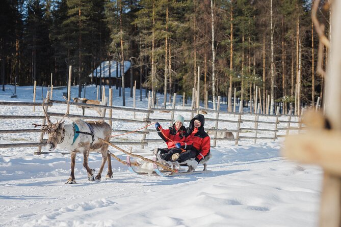 Reindeer Experience with Sledge Ride - Is the $104.76 price good value?
