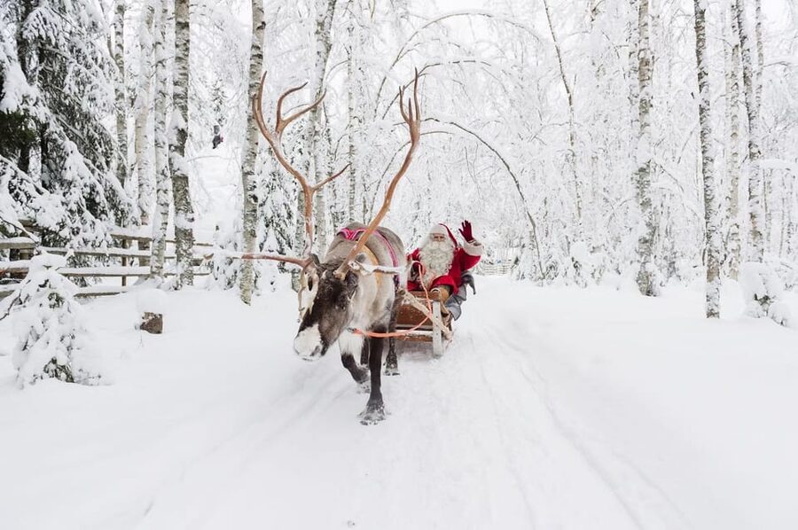 Reindeer Farm Visit with Sleigh Ride - Timing, group rules, and seasonal planning