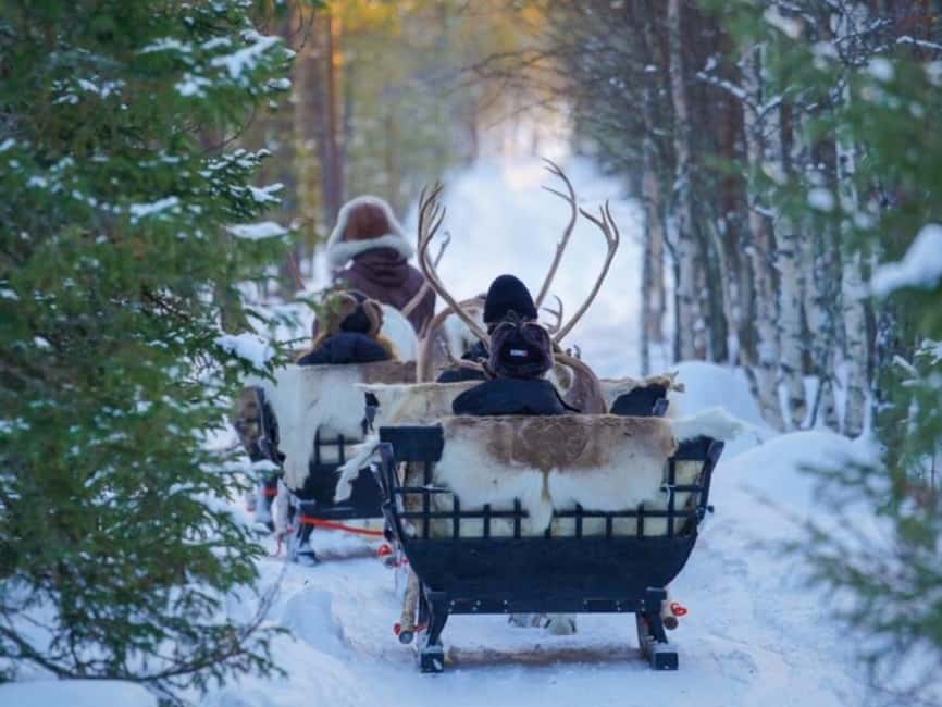 Reindeer Safari at a 200-Year-Old Farm & Long Sled Ride - Tea, cookies, and the human side of the visit