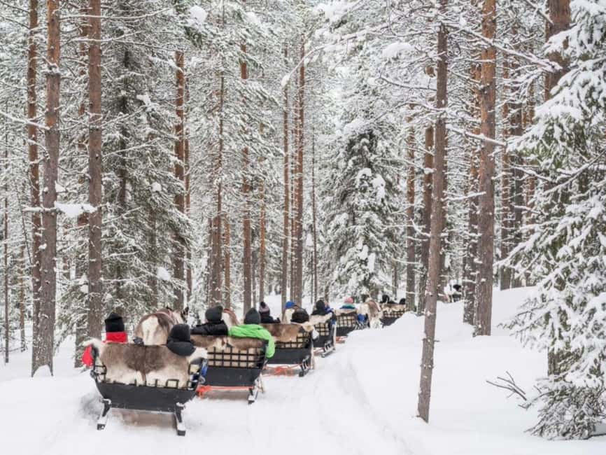 Reindeer Safari at a 200-Year-Old Farm & Long Sled Ride - Receiving your Reindeer Driving License