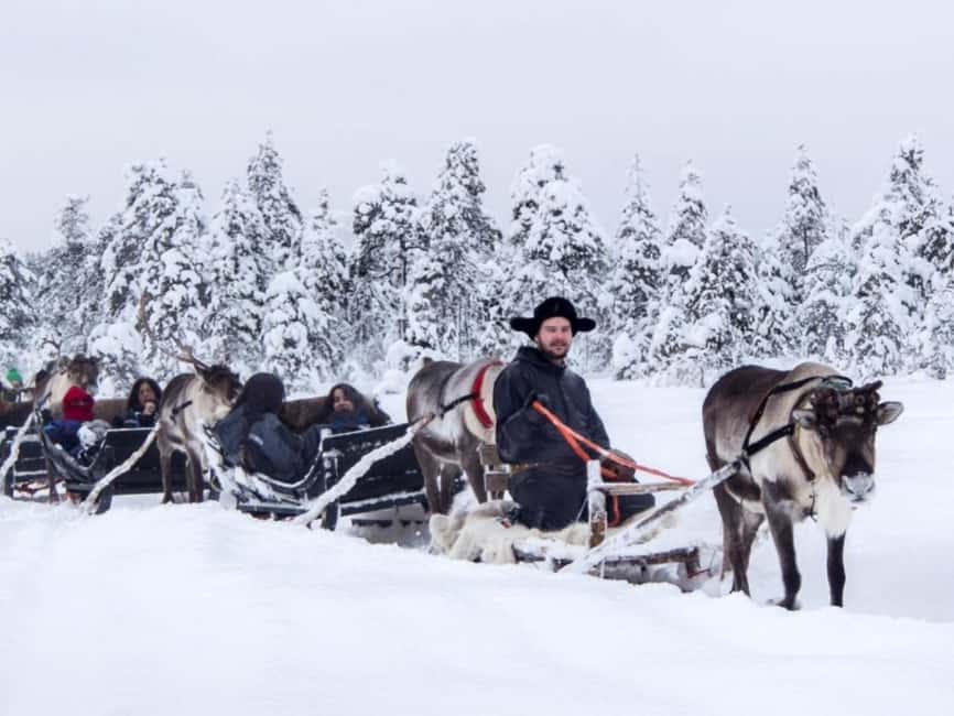 Reindeer Safari at a 200-Year-Old Farm & Long Sled Ride - What is included for the $260 price