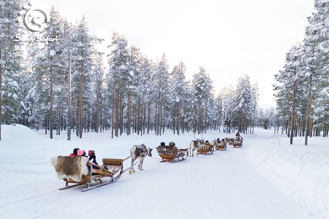 Reindeer Safari in Arctic Wilderness - Is $238.85 a fair price?