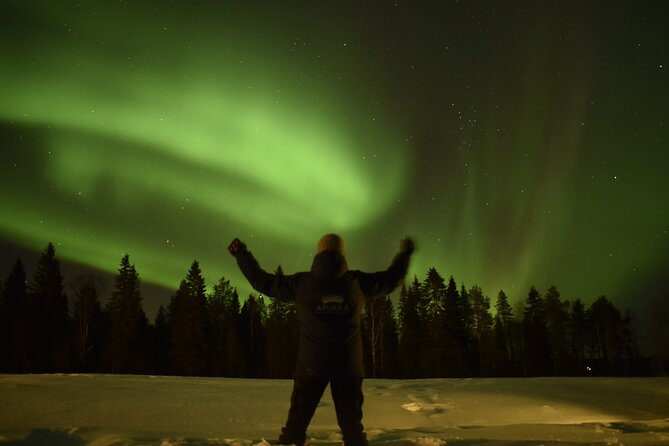Reindeer Sleigh Ride Across the Night in Apukka Resort Rovaniemi - The journey from Rovaniemi to Apukka Resort
