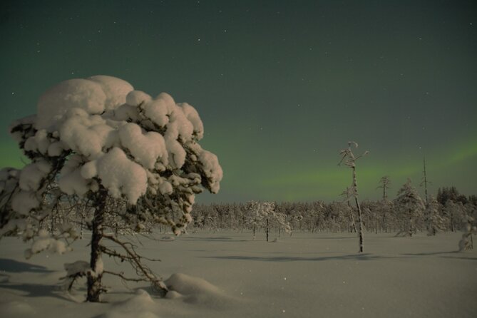 Reindeer Sleigh Ride Across the Night in Apukka Resort Rovaniemi - The fire hut, hot juice, and reindeer sausage