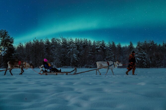 Reindeer Sleigh Ride Across the Night in Apukka Resort Rovaniemi - Is the $223.57 price good value?