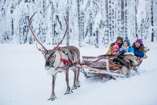 Reindeer Sleigh Ride and Farm Experience from Rovaniemi - At the reindeer farm