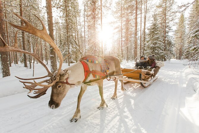 Reindeer Sleigh Ride and Farm Experience from Rovaniemi - Warm juice, cookies, and a Finnish pause